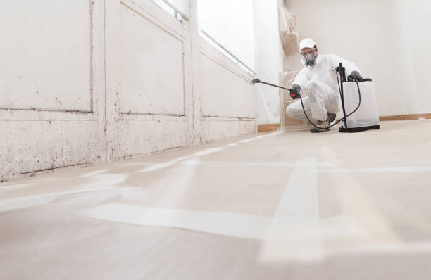 24/7 Emergency Mold Remediation experts in Richardson, TX