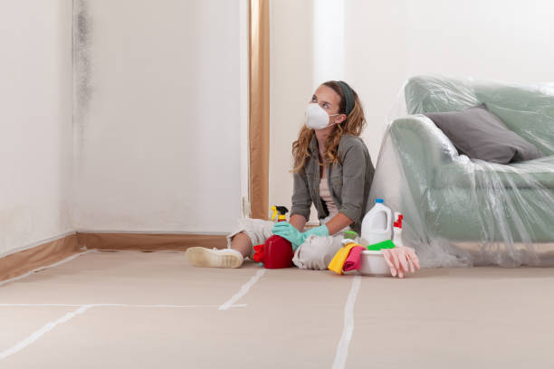 Reliable Mold Remediation contractor in Richardson, TX by Mold Remediation HQ